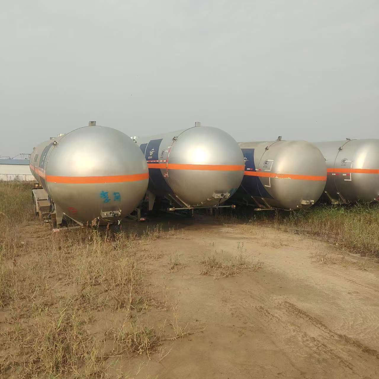 whatsapp image 2026 03 01 at 08.42.52 2 1.jpeg